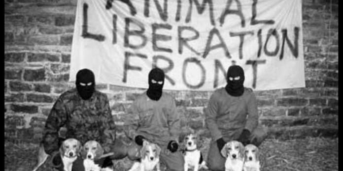 4dcaf17cfe5c8266e2ec304066c4f1bb